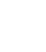 Owner Operator Model Icon